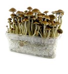 grow_supplies